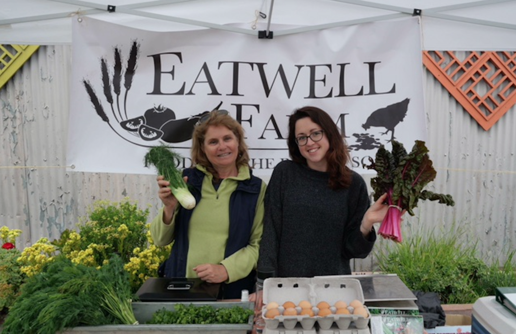 What To Do In Bayview This August